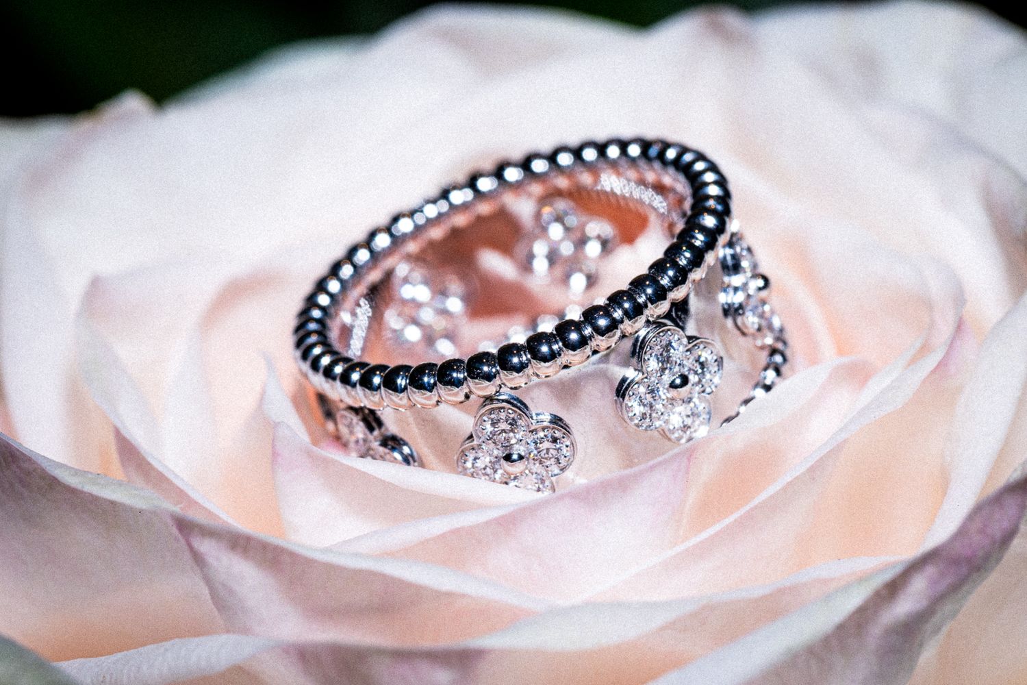 Elegant silver ring with crystal accents resting on delicate pink rose petals.