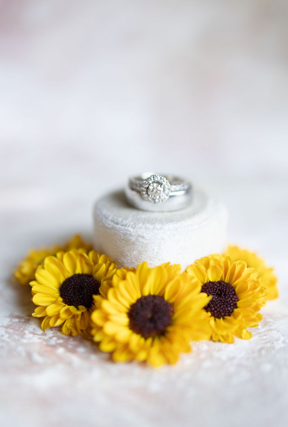 Log Haven Wedding Photography