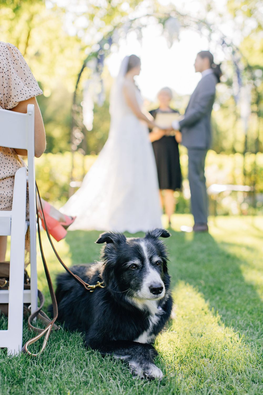 Log Haven Wedding Photography