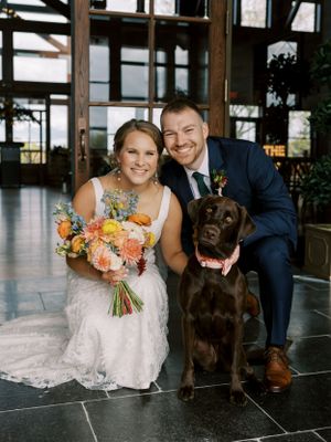 Bride and groom wedding day portrait with a chocolate lab. Classic and film-inspired wedding photography in Madison, Wisconsin.