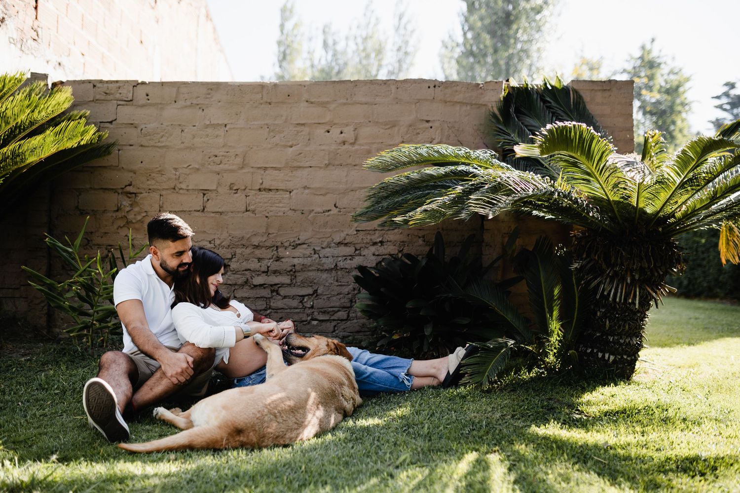 Couple relaxing in garden with dog under palm trees during sunny afternoon.