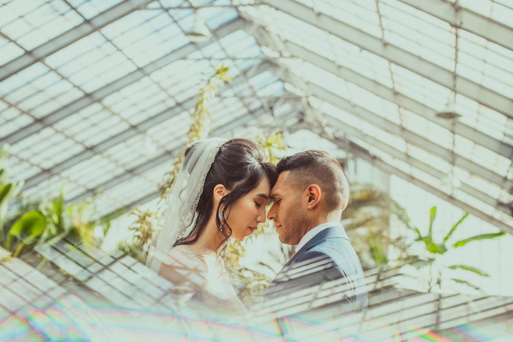 Bride and groom sharing an intimate moment at Brookside Gardens Conservatory.