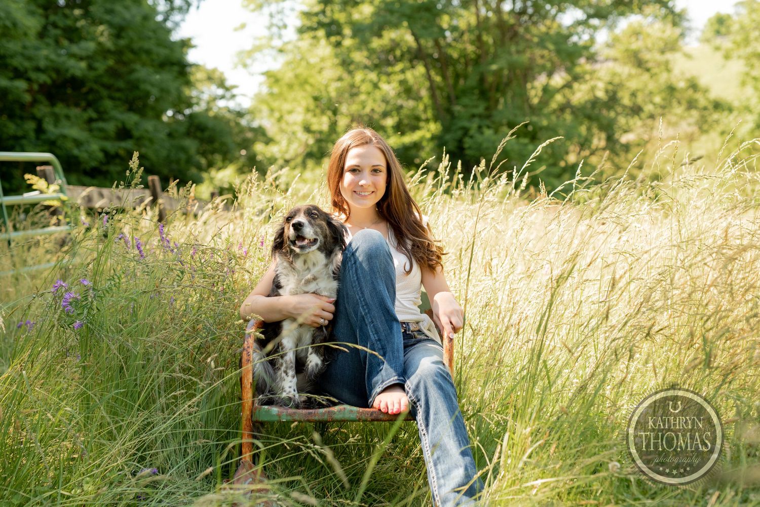 Outdoor portrait with adorable dog companion sitting together on vintage chair in summer meadow.