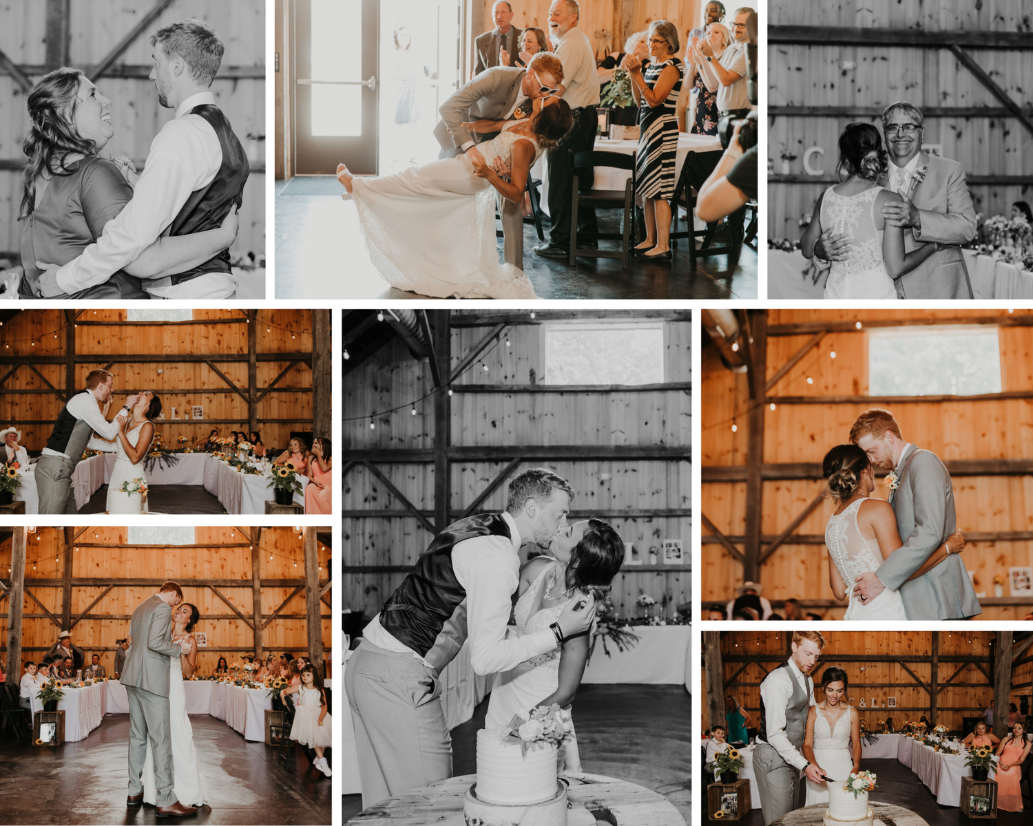 Ohio Photographer, Ohio Wedding, Wedding Photos, Wedding Portraits, The Village Barn, Reception Photos