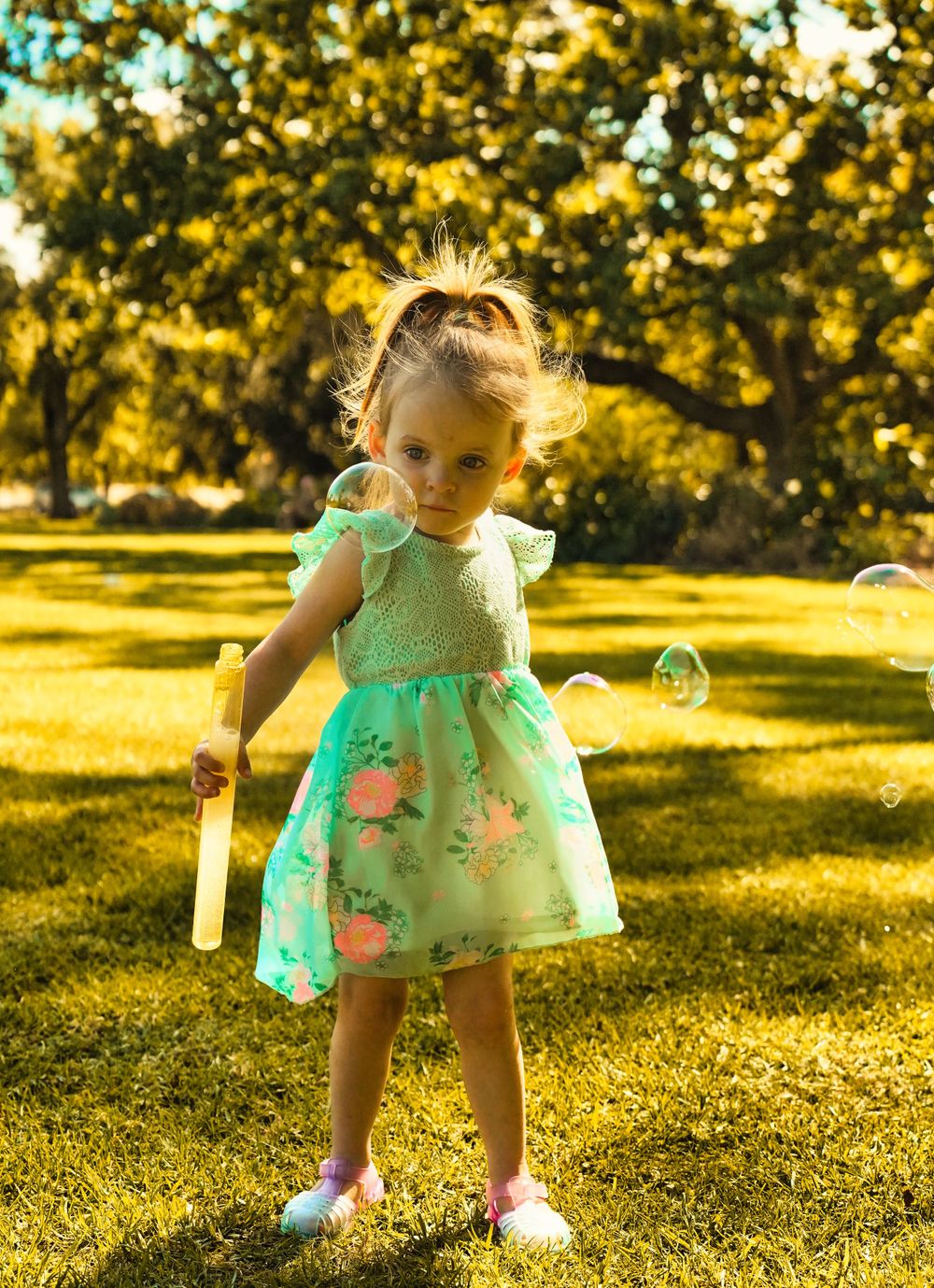 Family photographer, Sydney phoptgrapher, Campbelltown photographer, Prestons photographer.