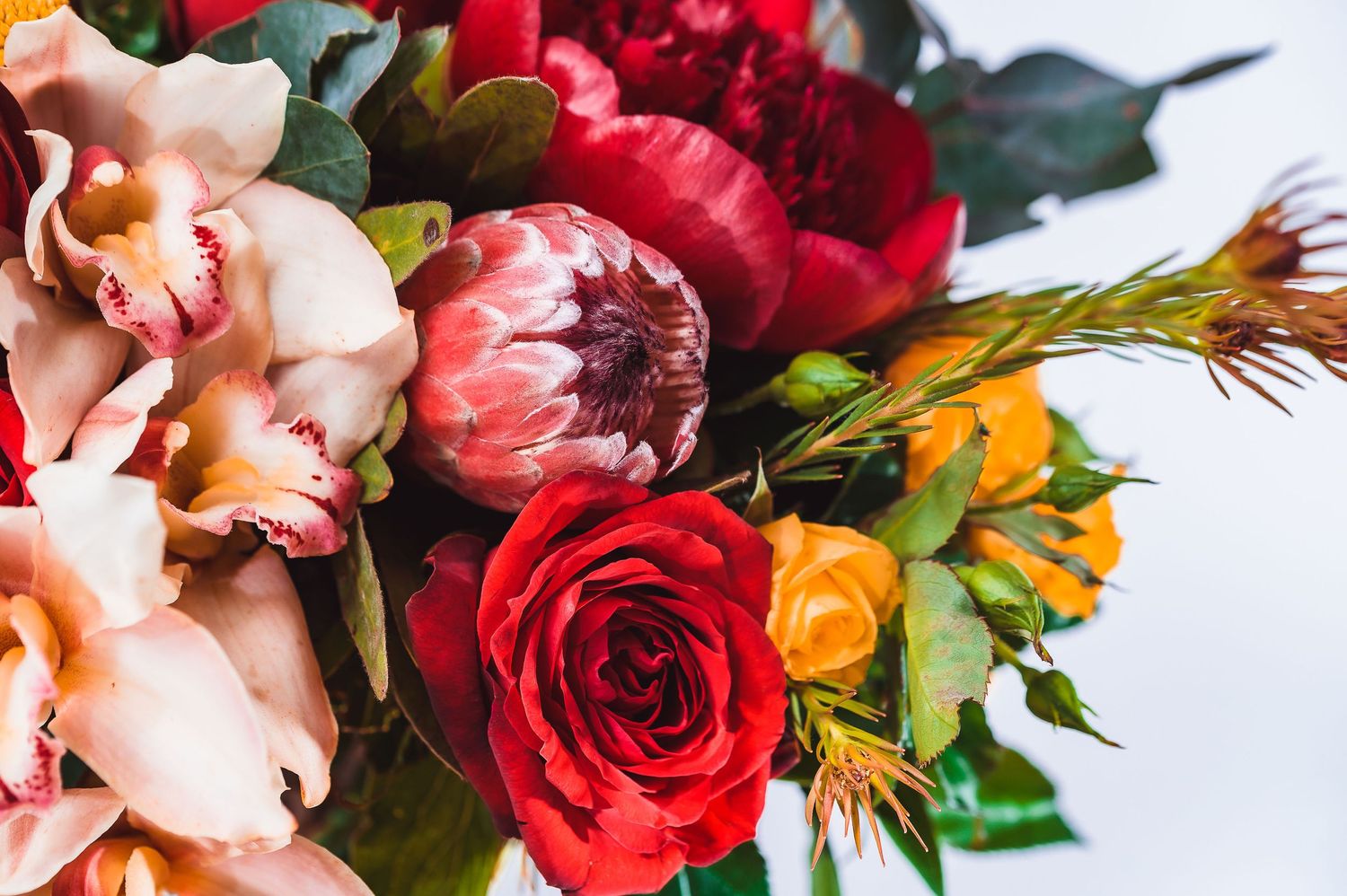 Close-up detail of pink orchids and red roses in an elegant mixed flower bouquet.