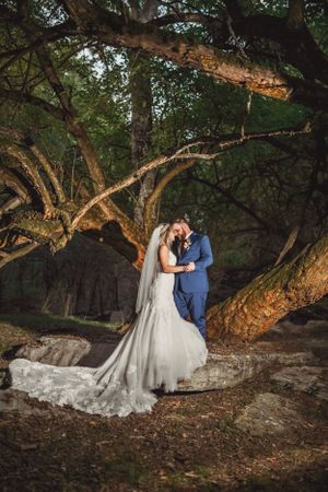 Wedding couple poses romantically under a large tree with dramatic lighting and shadows.