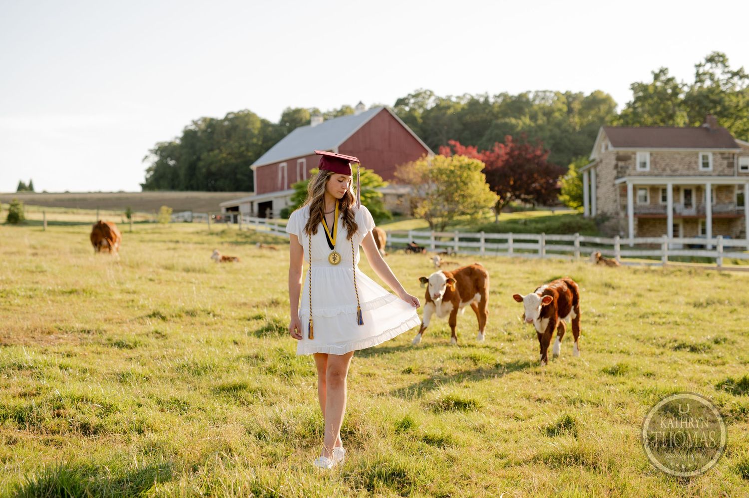 Graduate in white dress twirls in sunlit field with red barn and grazing cattle in background.