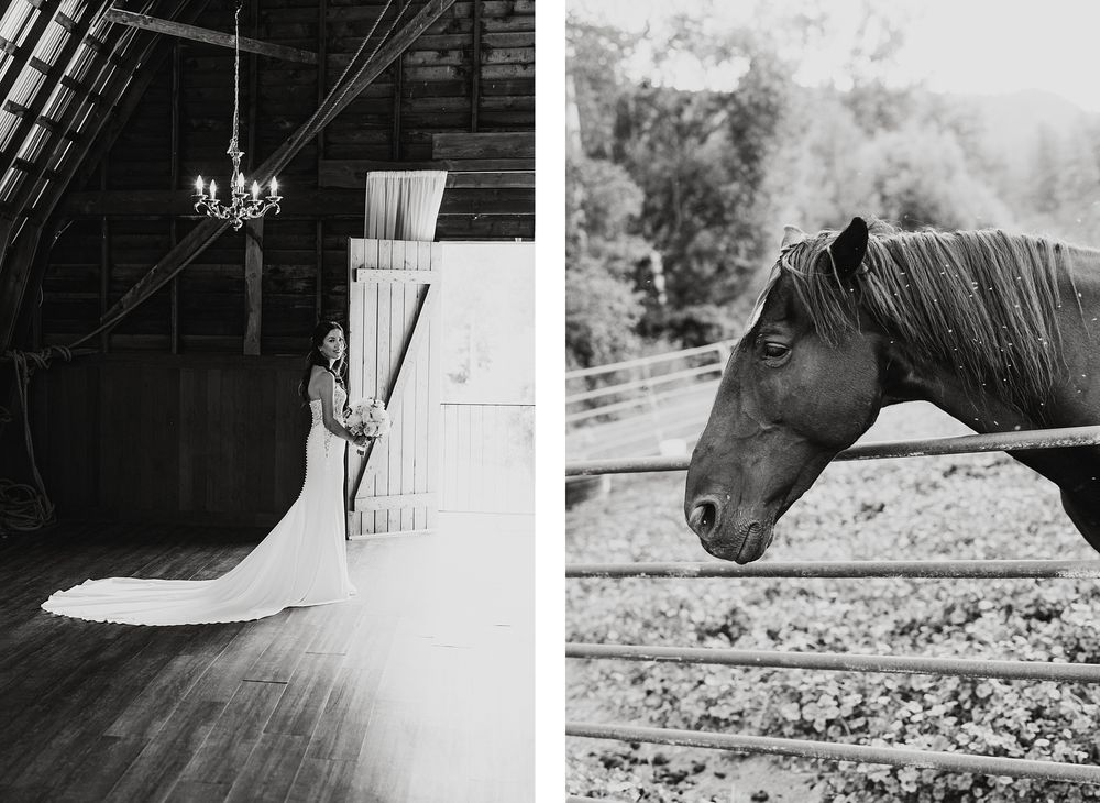 Meadow Valley Ranch Wedding Summerland BC