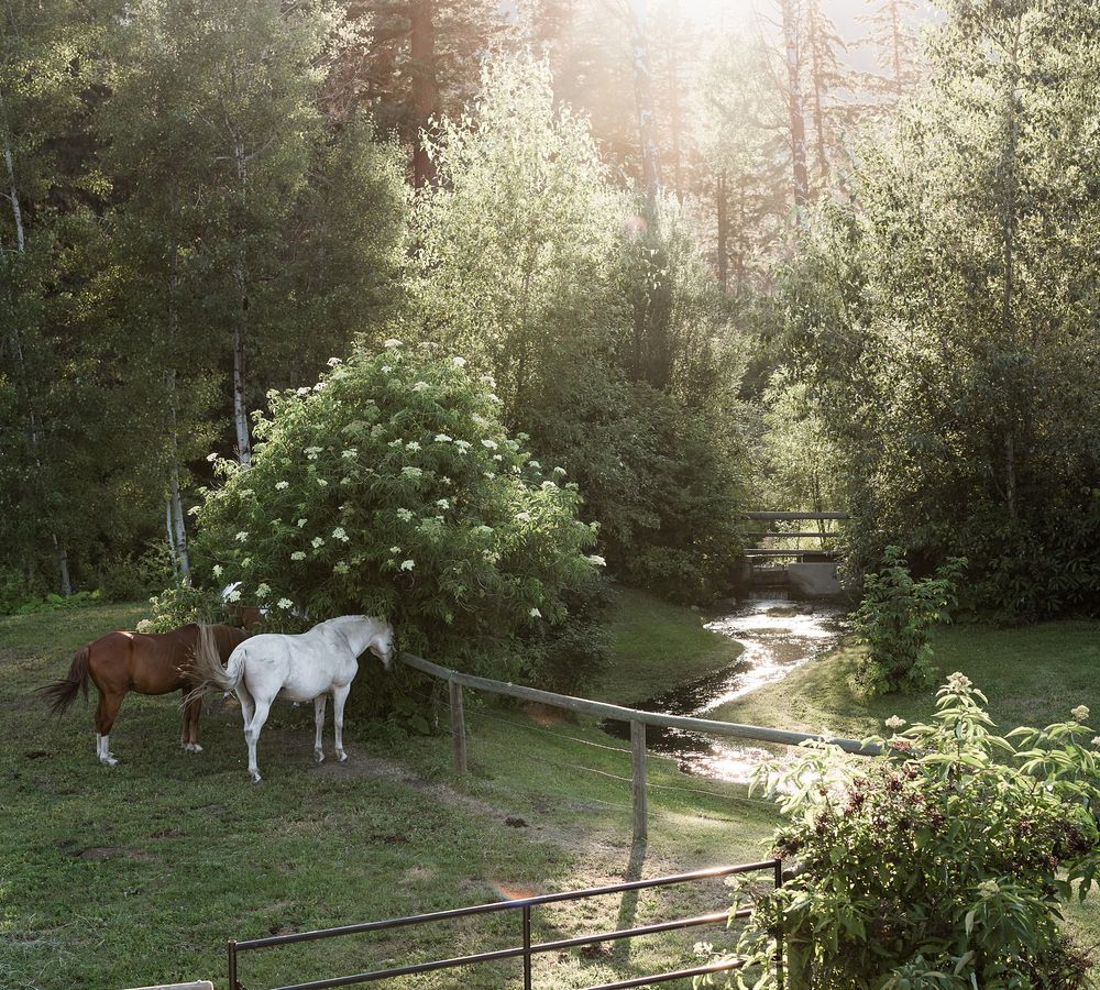 Meadow Valley Ranch Wedding Summerland BC