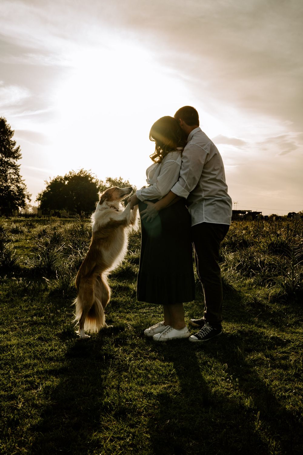 Family with dog enjoying sunset moments in a grassy field.