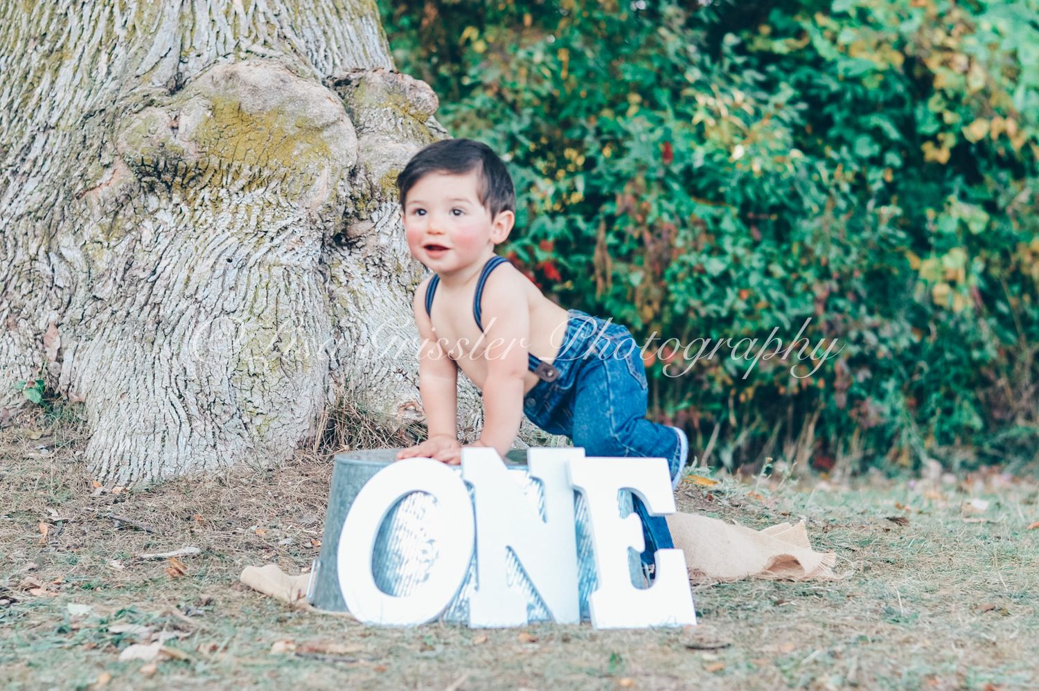 one years old