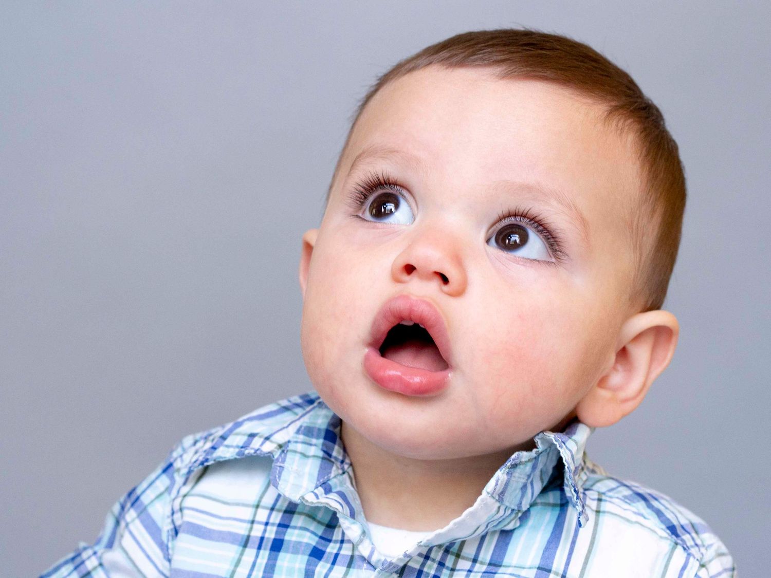 Toddler boy, solid grey background.