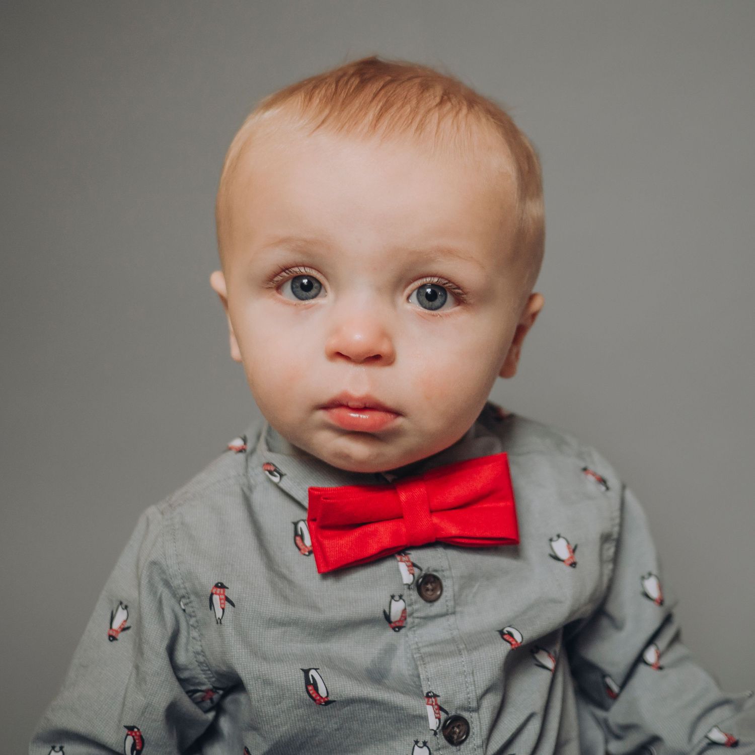 Baby boy, awesome red bowtie, solid grey background.