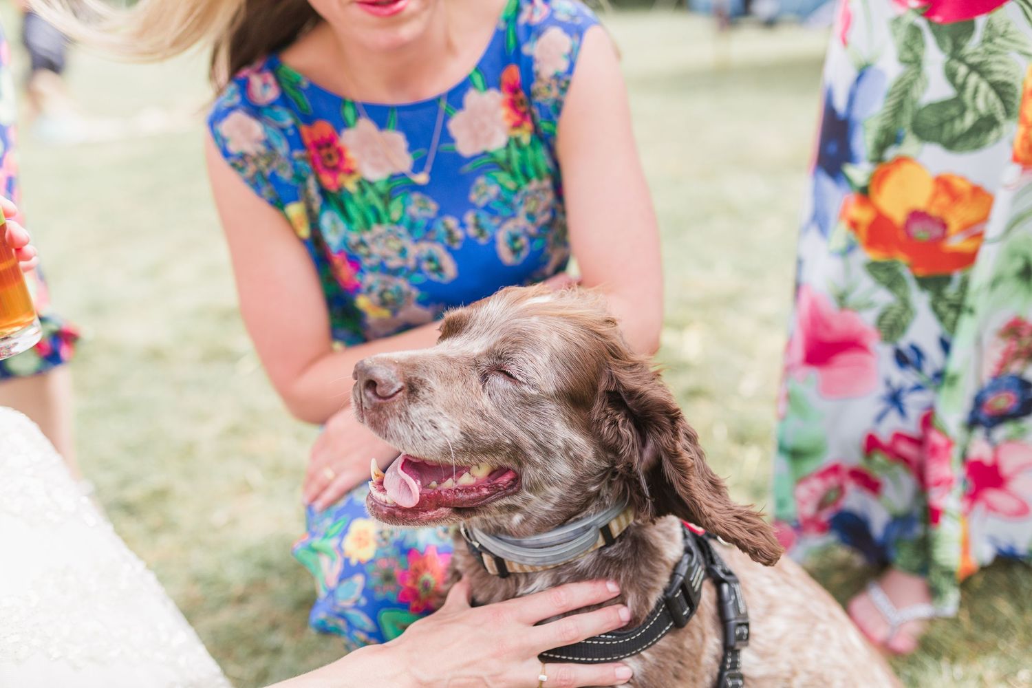 Hayley Elizabeth Photography Dogs at weddings spaniel at festival wedding in the cotswolds