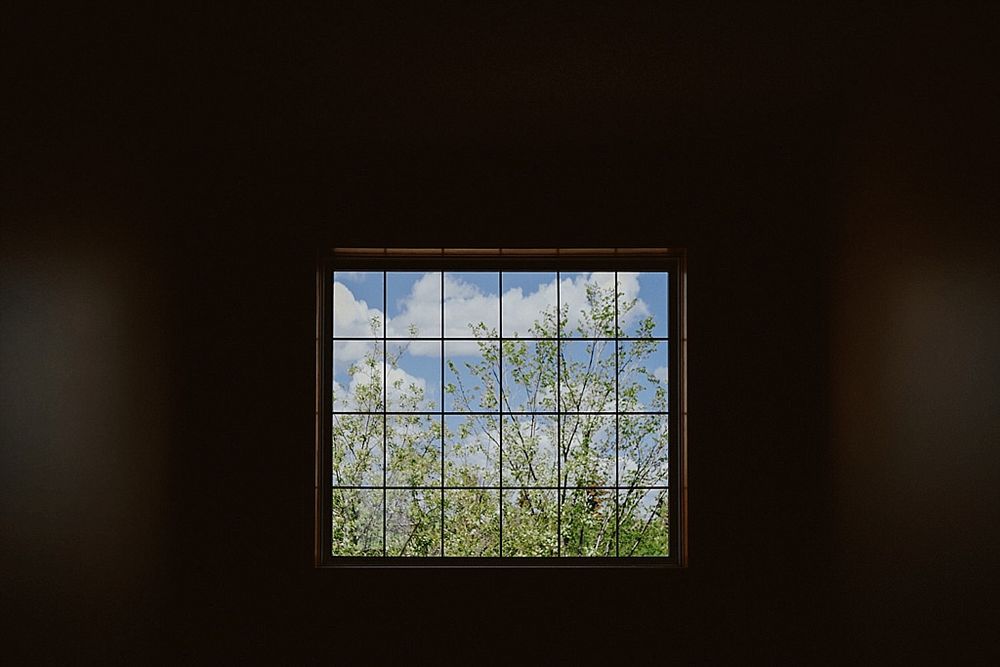 Square window with white frames looking out to blue sky and tree branches.