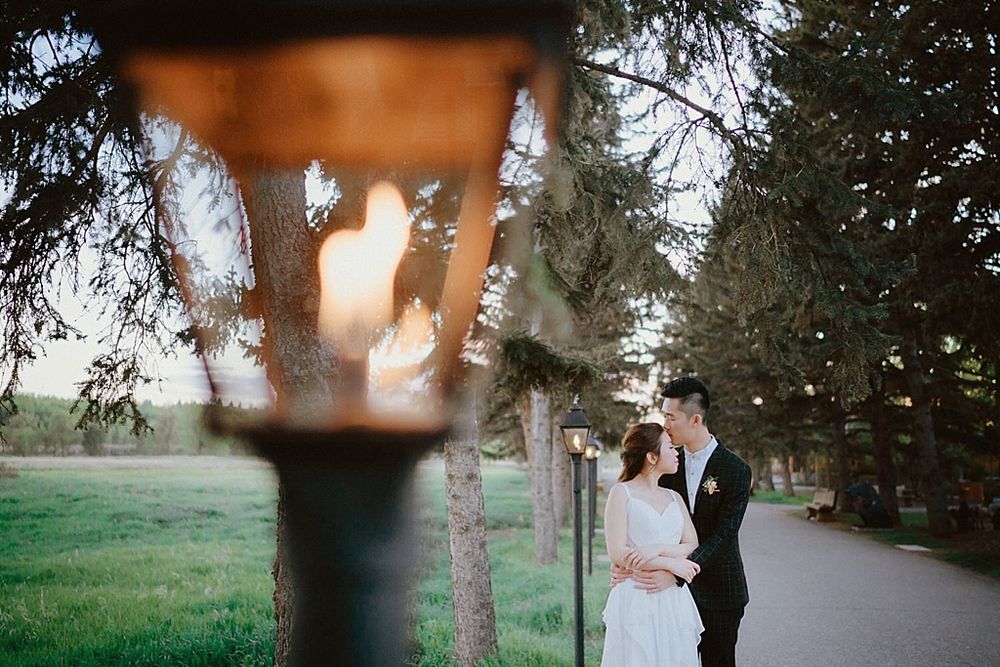 Wedding couple embraces under tall evergreen trees during an outdoor photo session.