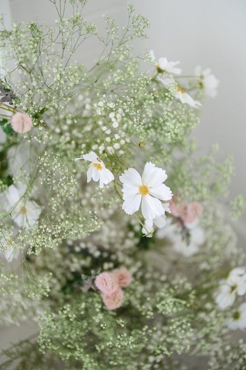 Ethereal arrangement of white cosmos flowers and baby's breath with soft pink accents.