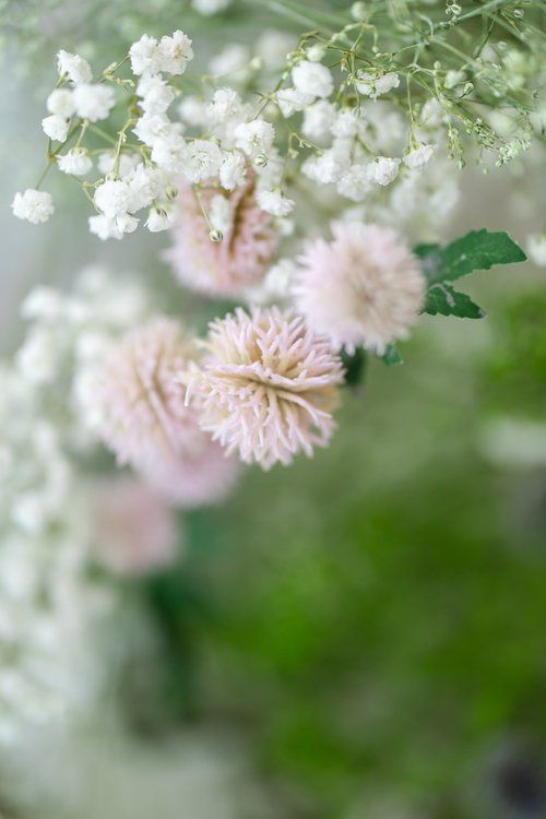 Delicate white baby's breath flowers and soft pink blooms create a dreamy floral composition.