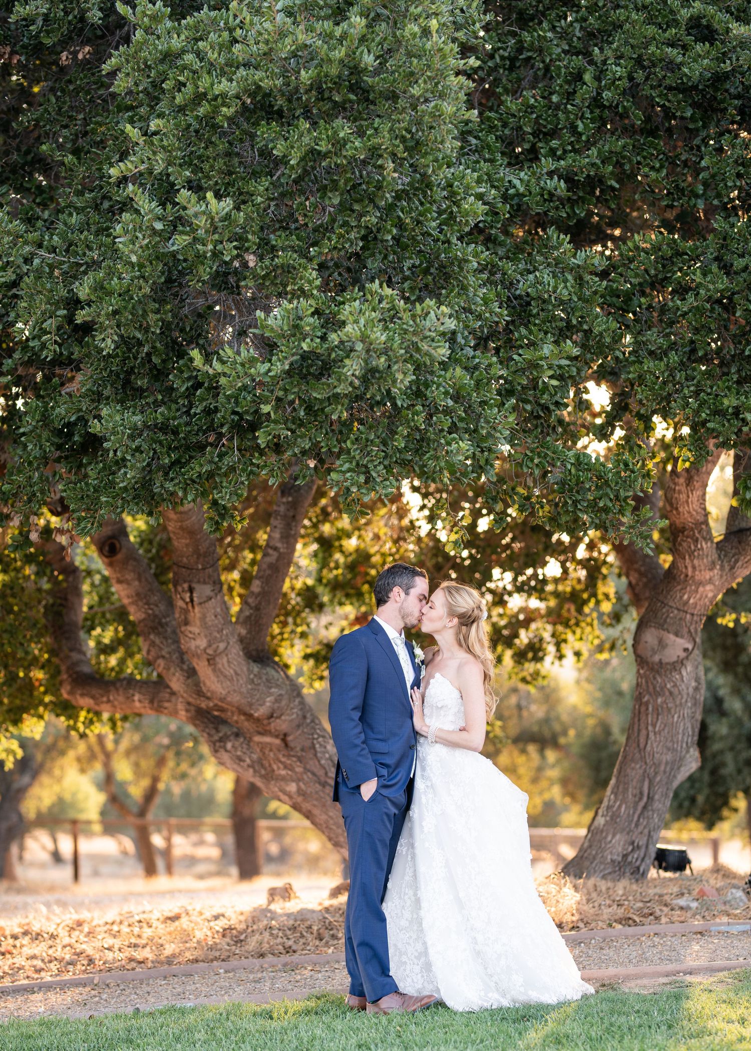 wedding couple kissing under an oak tree