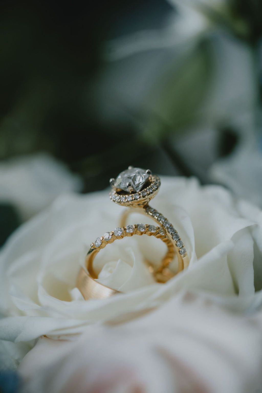 rings on flower at Solomon brothers
