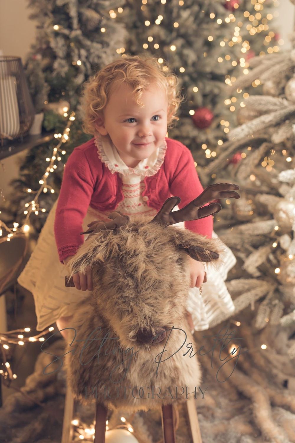 Sitting Pretty Photography Portfolio Christmas 2