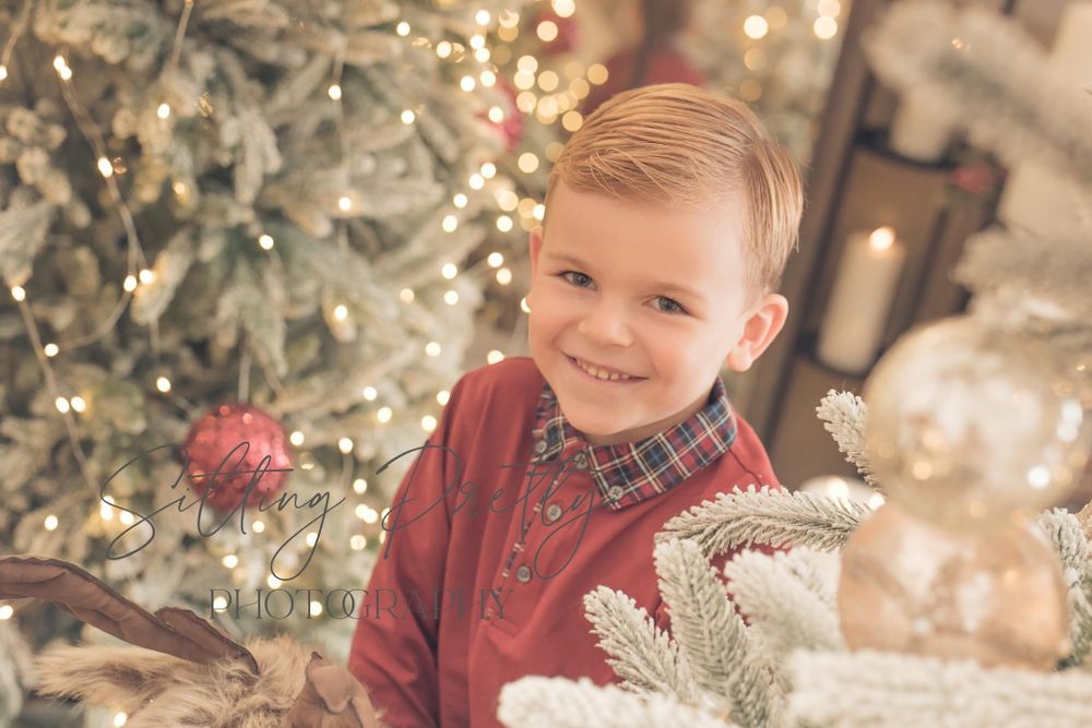 Sitting Pretty Photography Portfolio Christmas 5