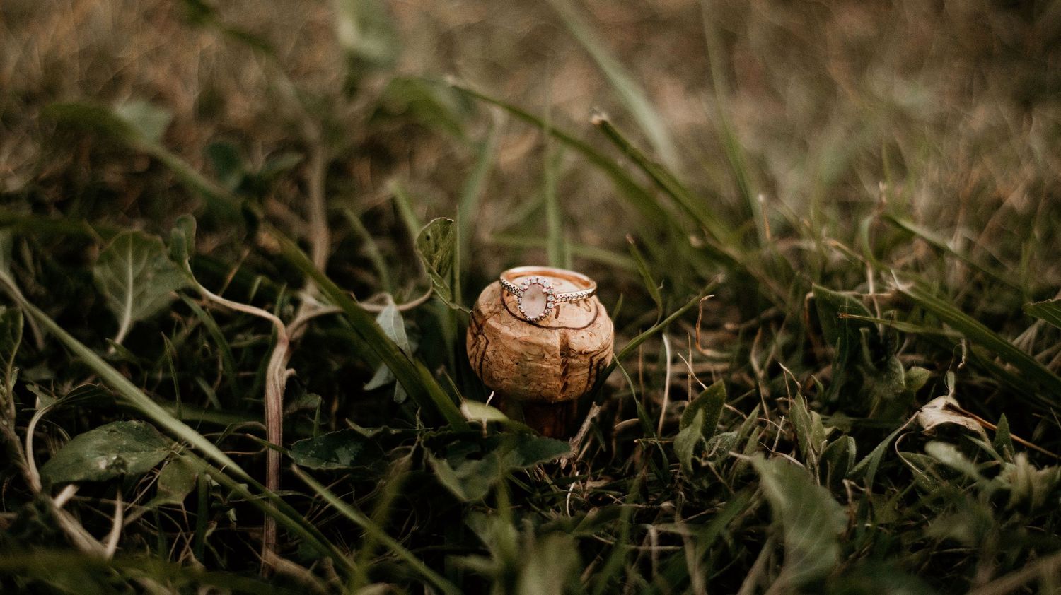 engagement photography