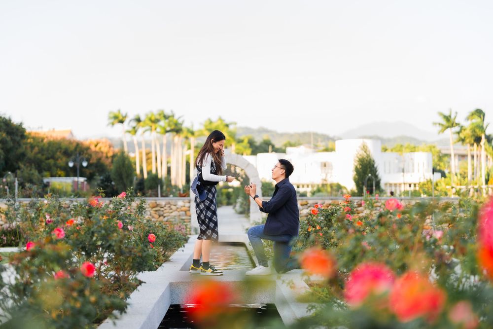 A proposal moment captured in a rose garden with blurred red flowers in the foreground.