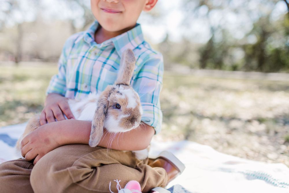 Child in plaid shirt holding small bunny on sunny spring day.