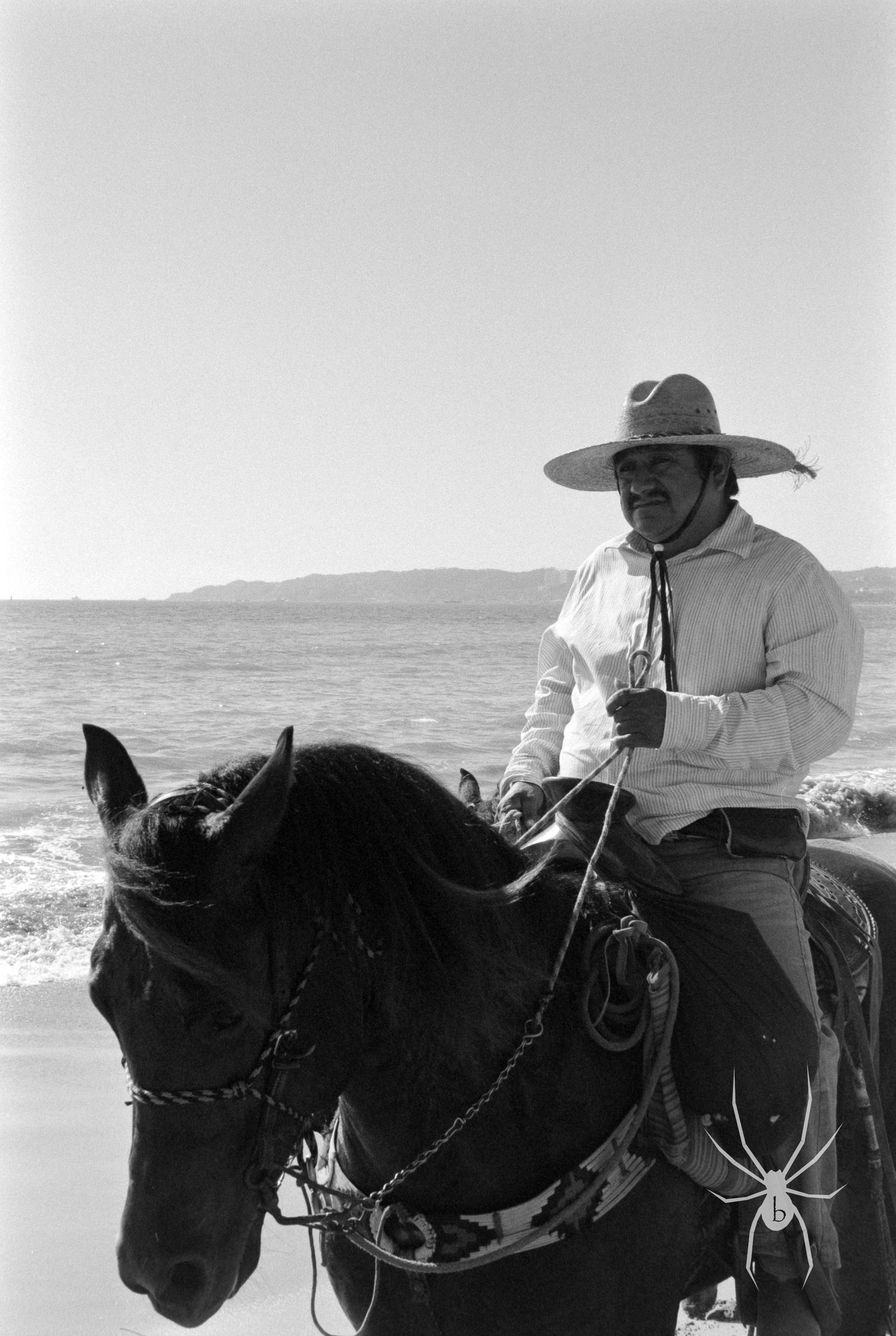 Black and white photograph of a horseback rider on beach.