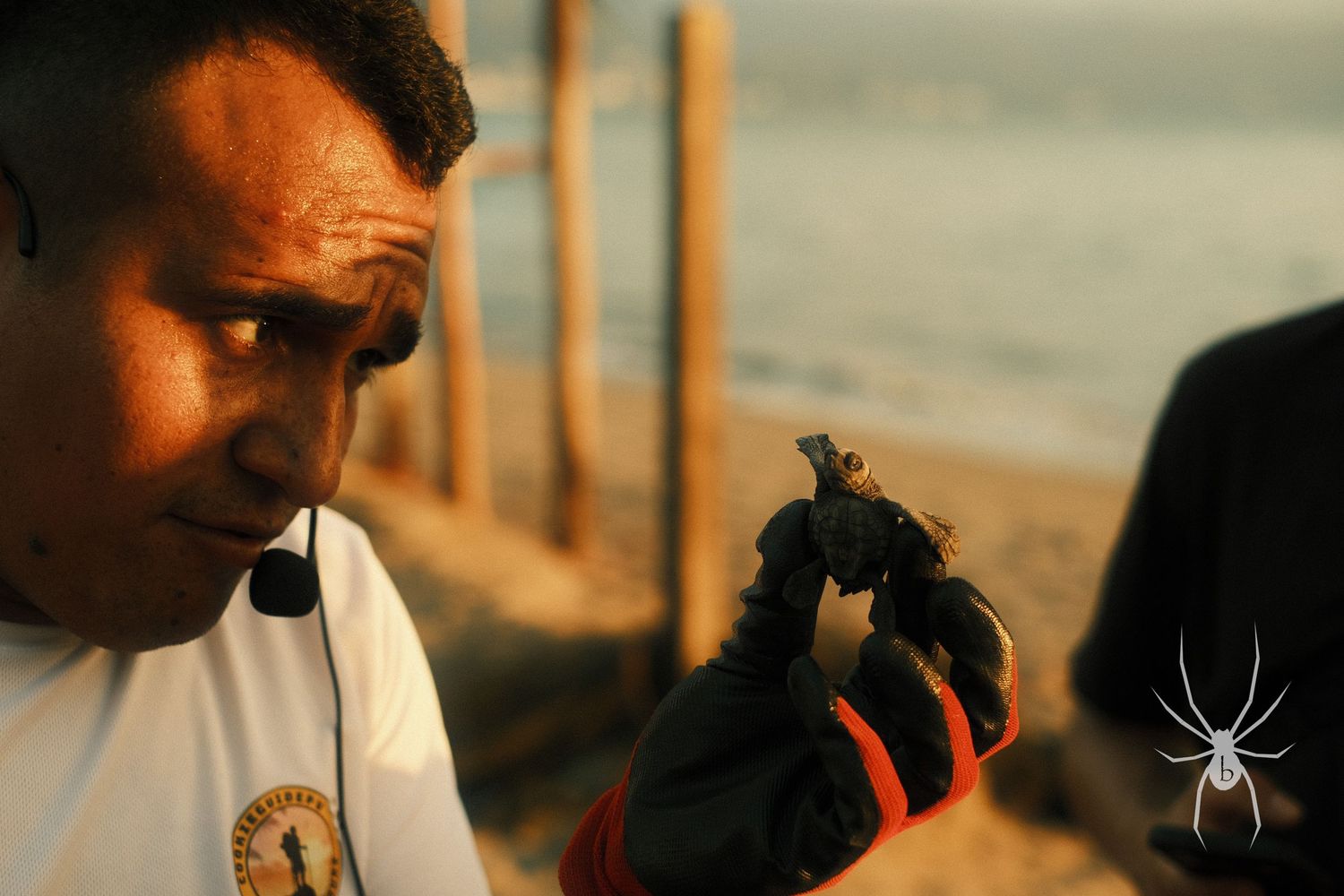 Person examining a small object in their gloved hands against a beach backdrop.