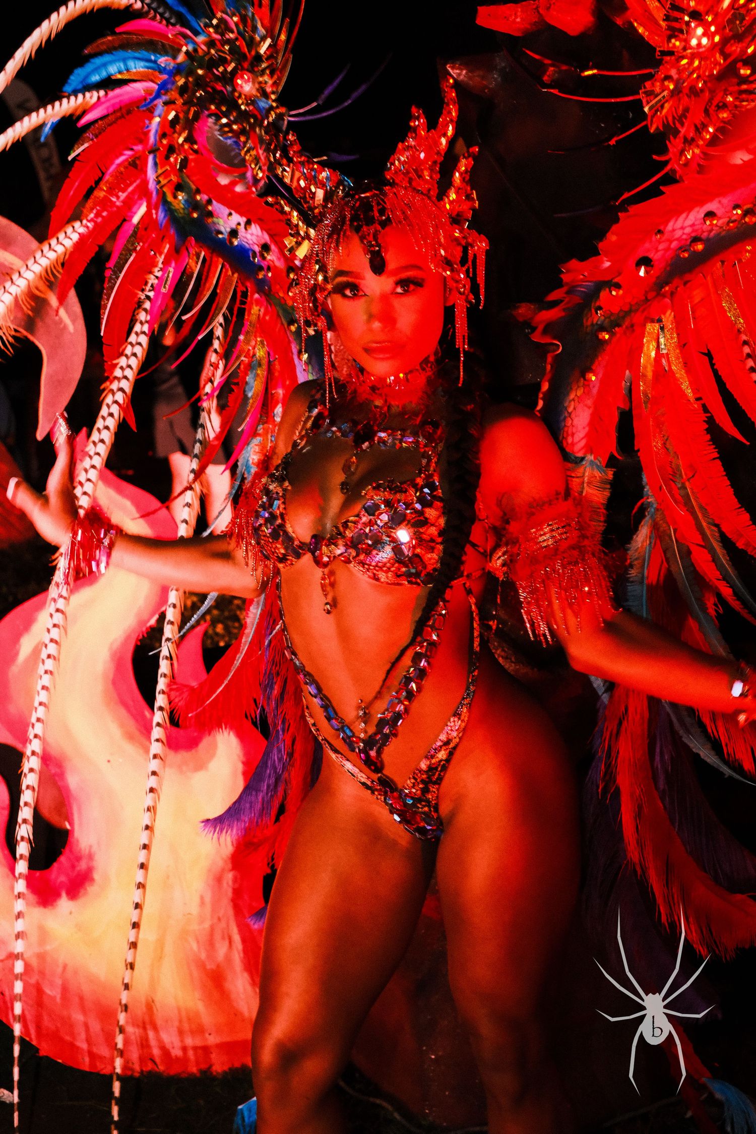 Performer in elaborate red feathered carnival costume under dramatic lighting.