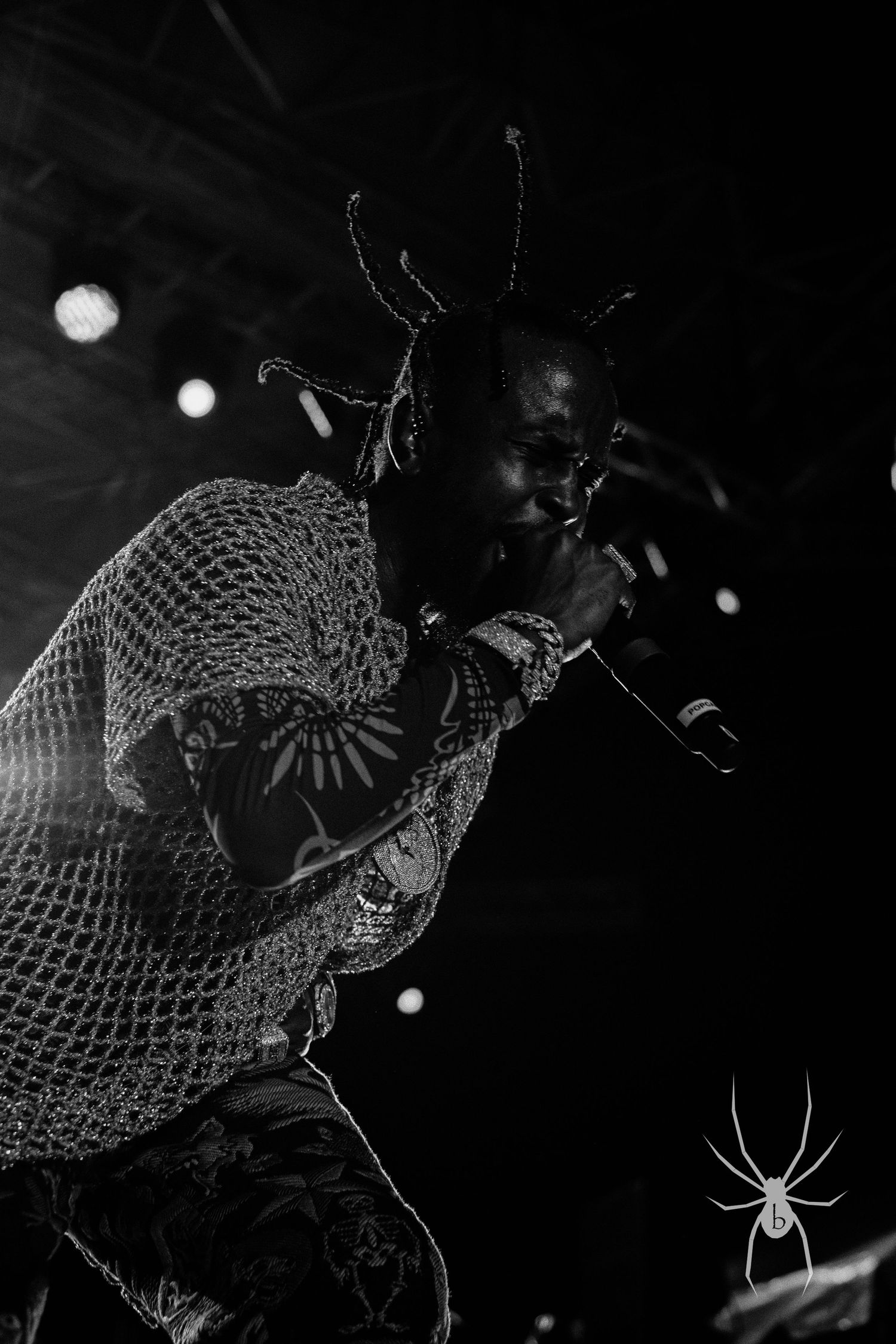 Concert performer in a sparkly mesh top energetically singing on stage in dramatic black and white lighting.