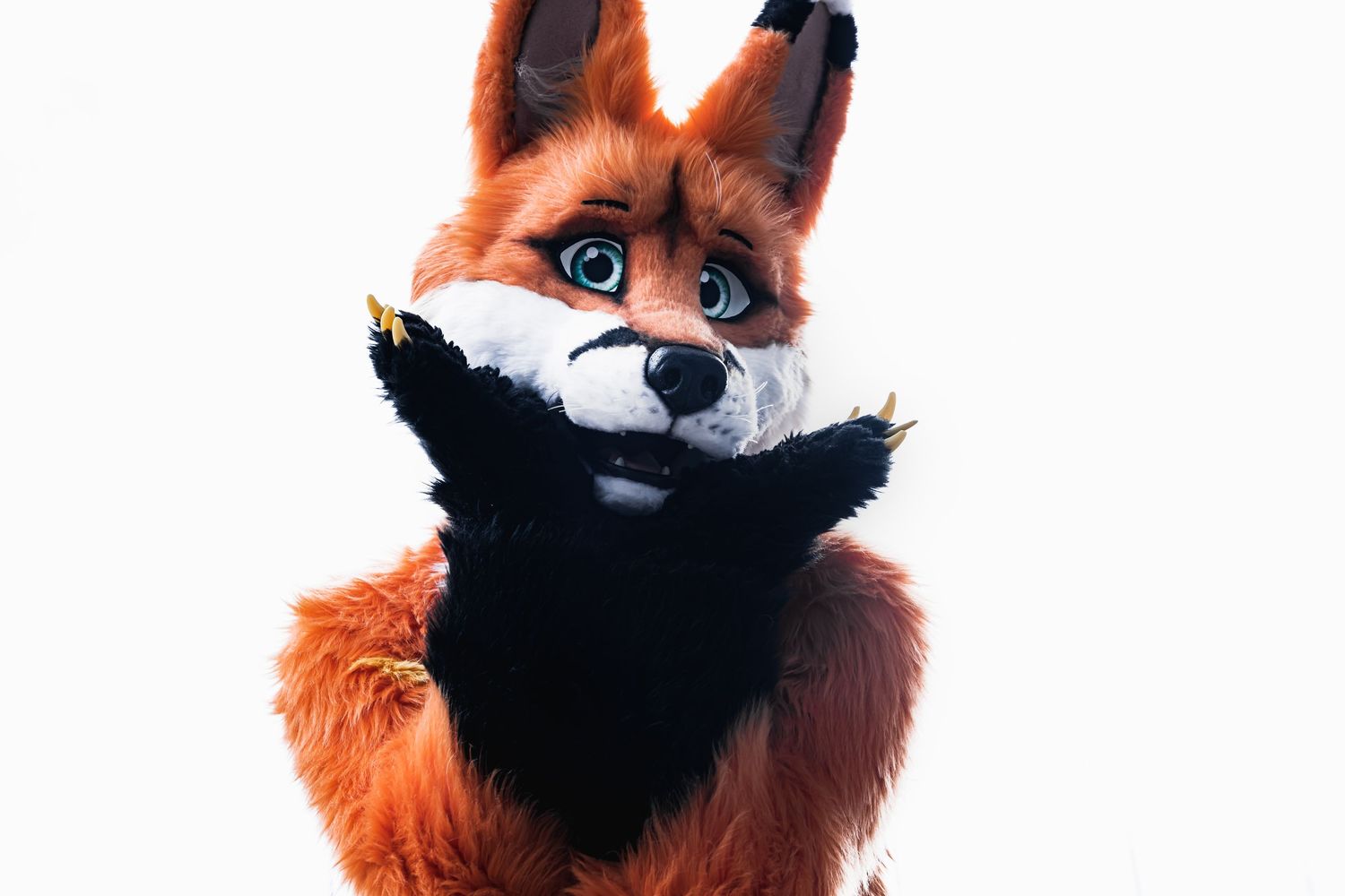 Doon the Fox