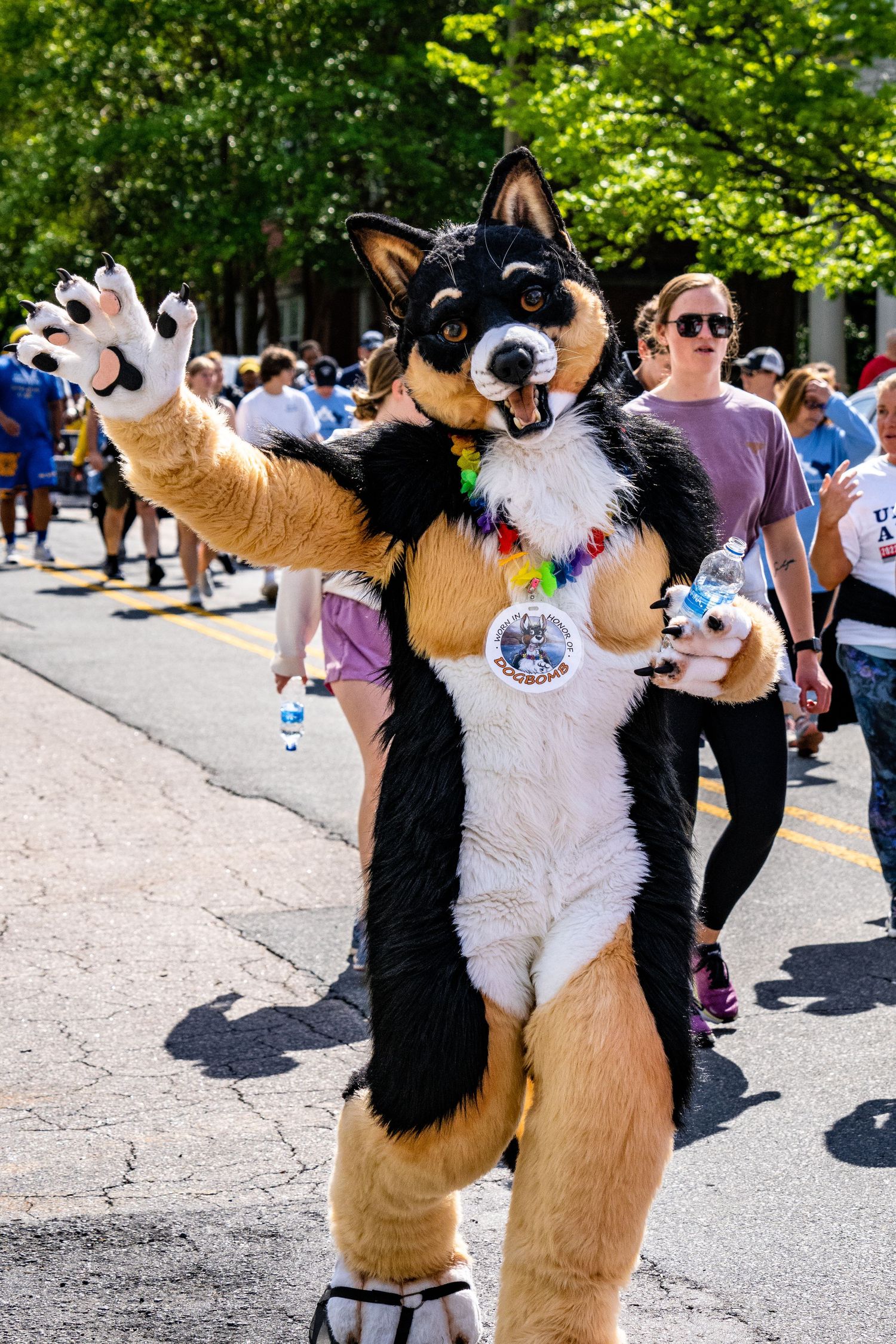 Dogbomb