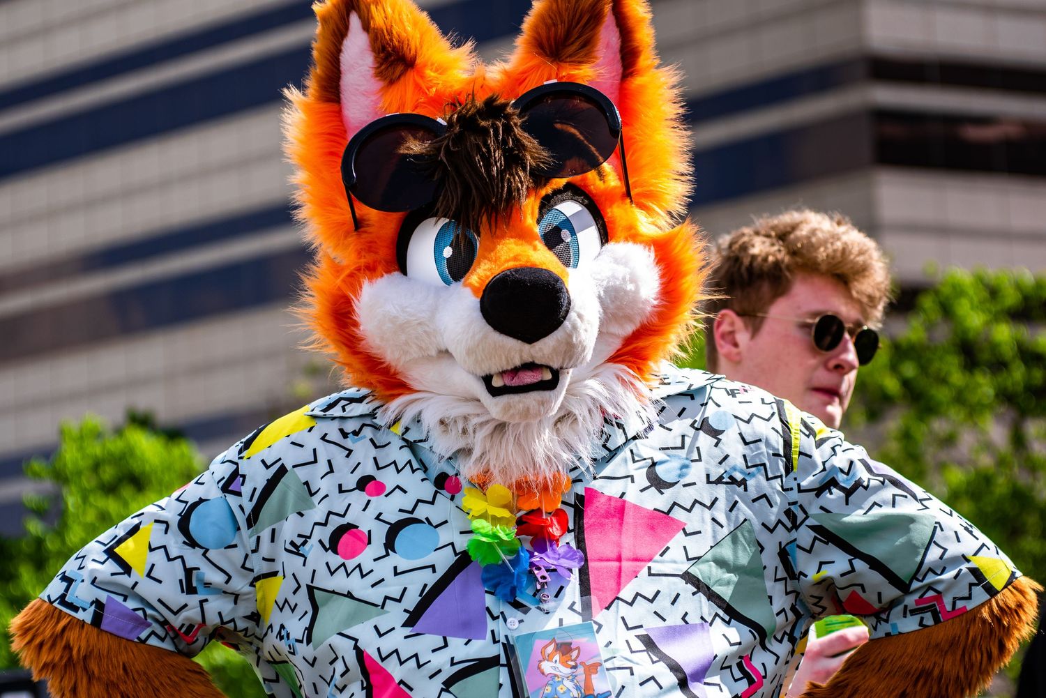 Chase the Fox