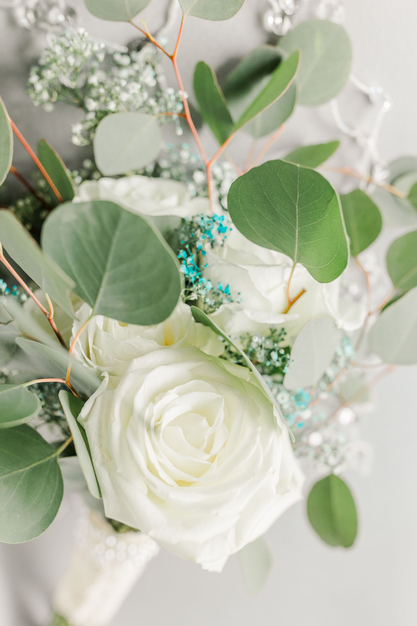 WASHINGTON DC WEDDING PICTURES