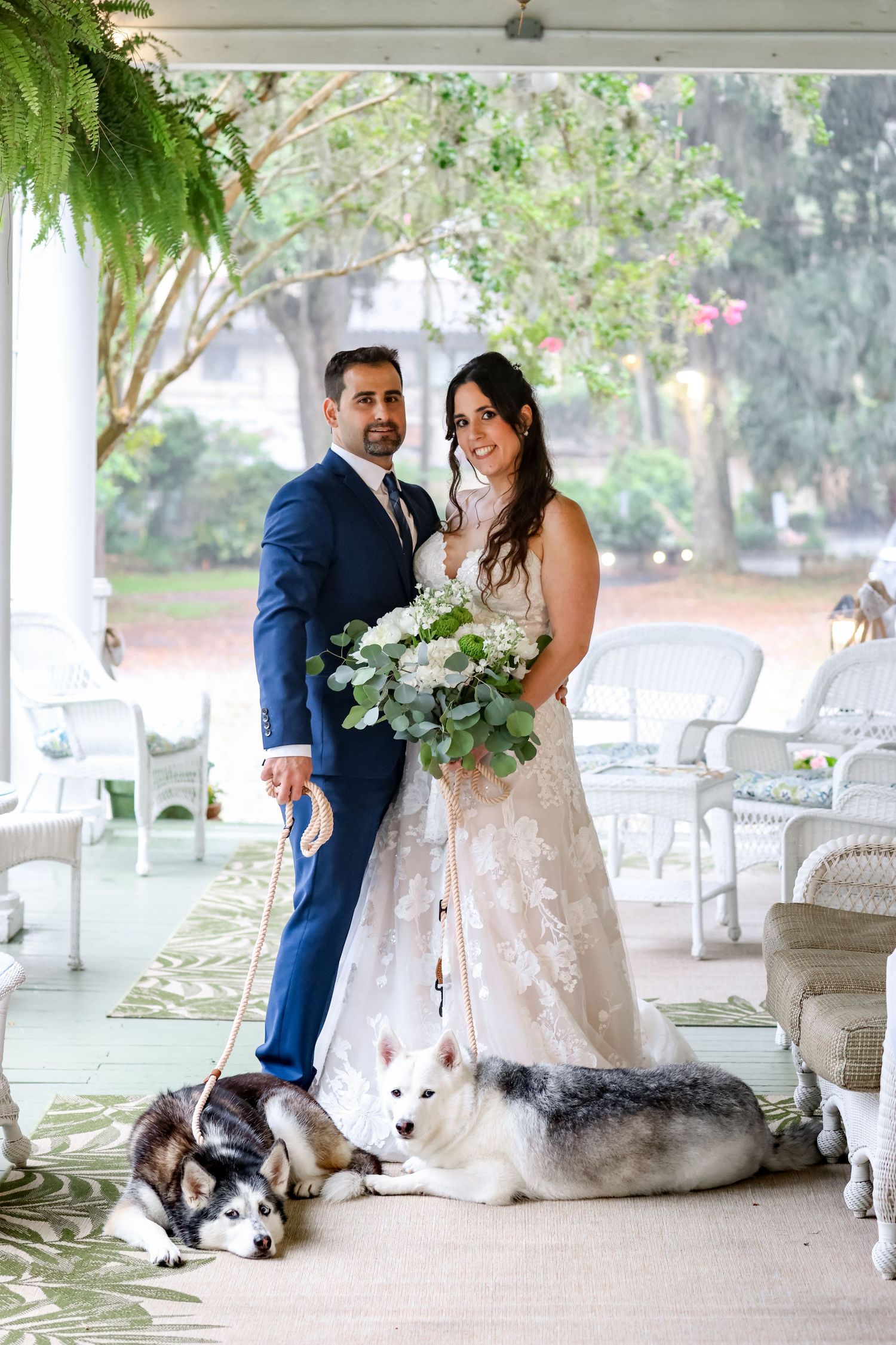 Wedding couple posing on a white porch with their two husky dogs.