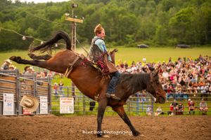 All American Rodeo Company - Blue Dog Photography
