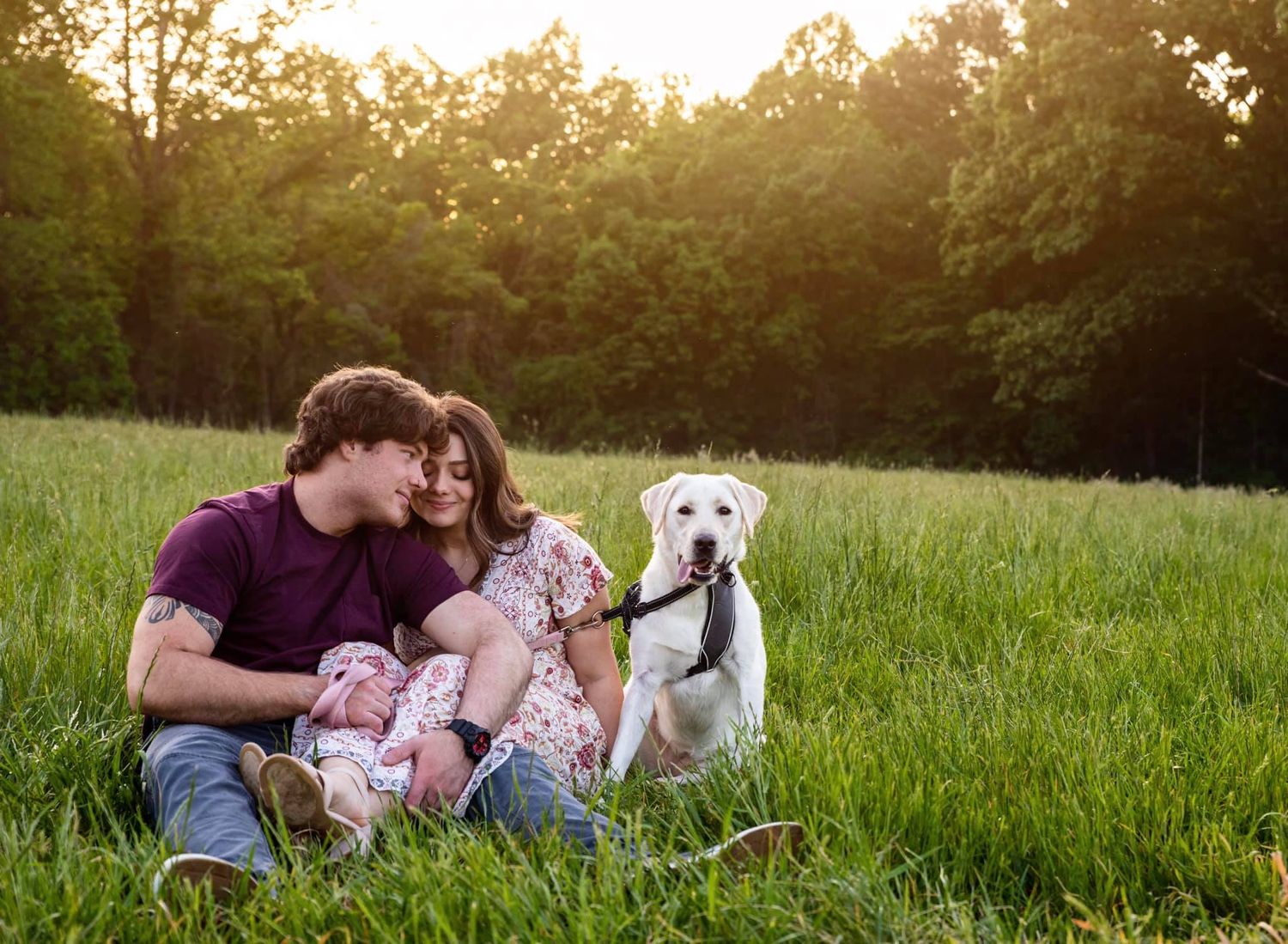 Family relaxes in a sunlit meadow with their white Labrador dog during golden hour.