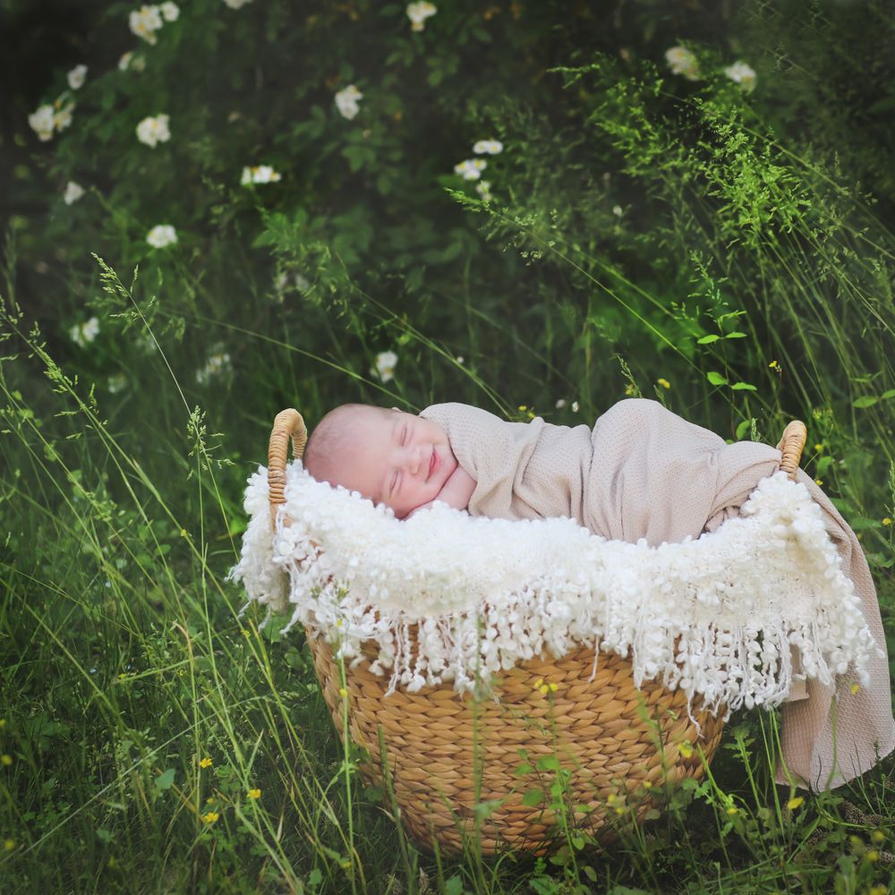 Sleeping newborn in white wrap lying in wicker basket outdoors among wildflowers.