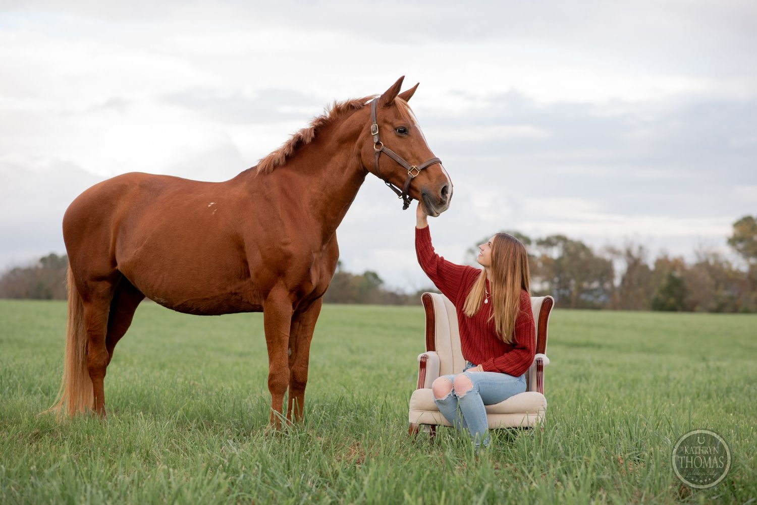 A chestnut horse watches as someone in a red sweater sits in the grass of a peaceful meadow.