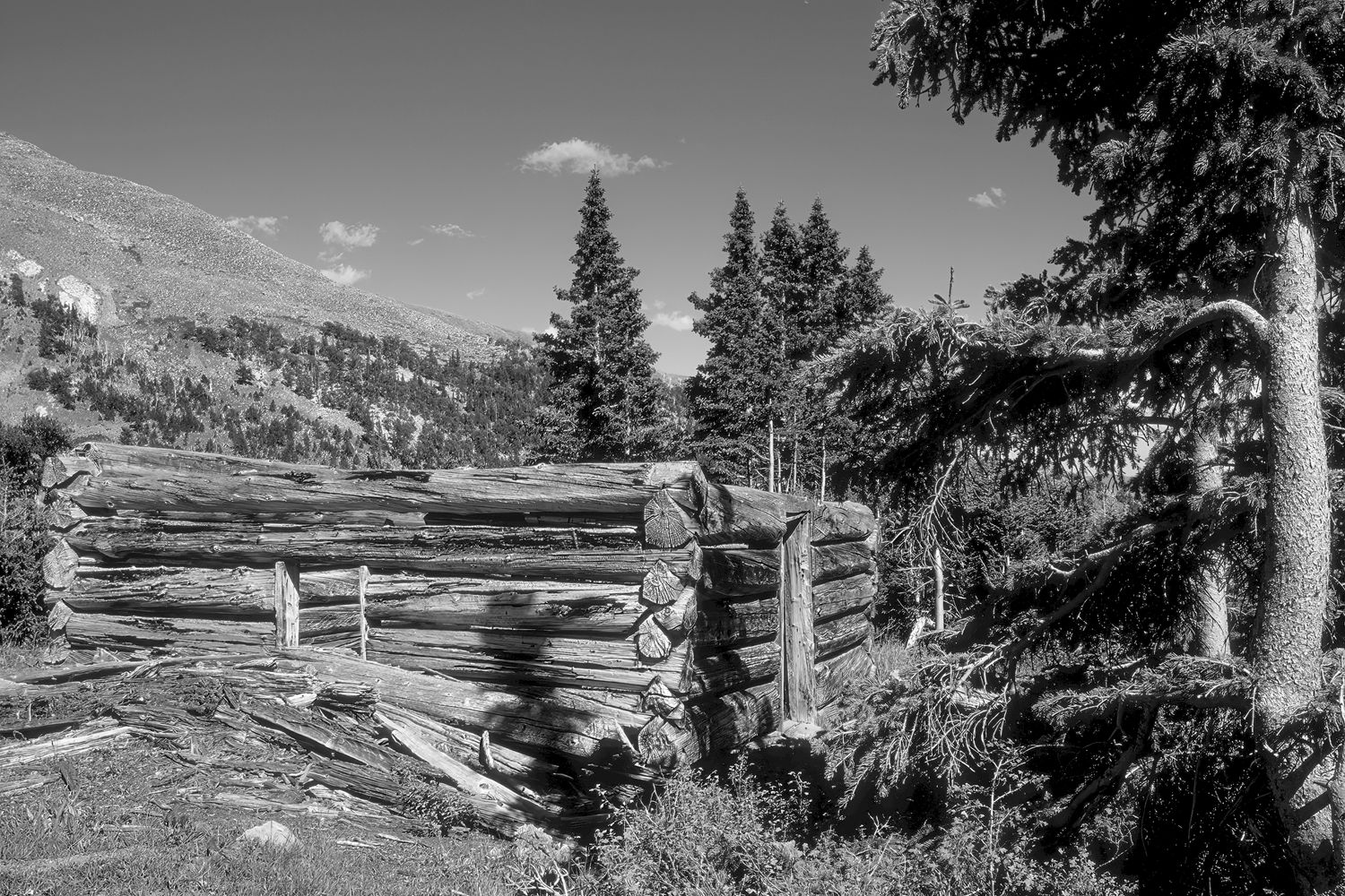 Cree's Camp, Colorado