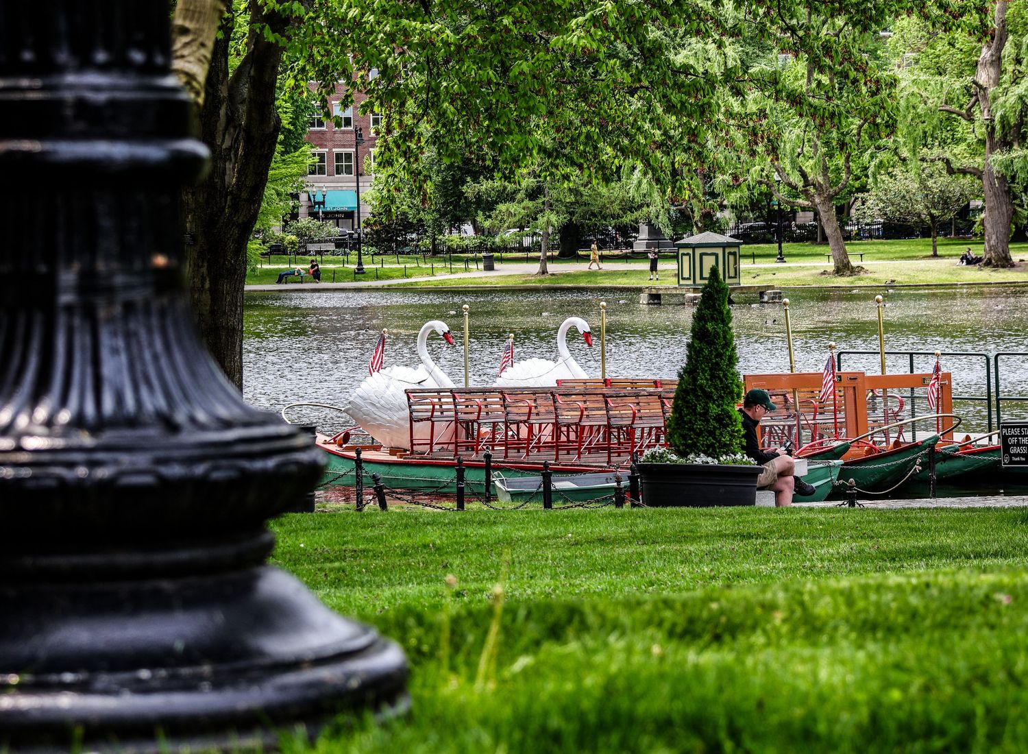Peaceful park setting with benches and trees beside a lake on a sunny day.