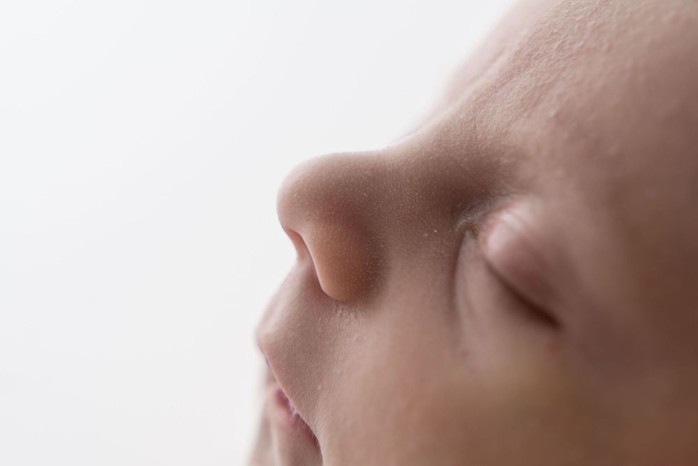 Babyfotograf Schaffhausen