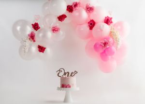 North Mississippi newborn photographer
