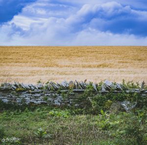 Professional commercial, real estate, Airbnb, holiday let, business, product, and branding photography in Rotorua & Bay of Plenty.