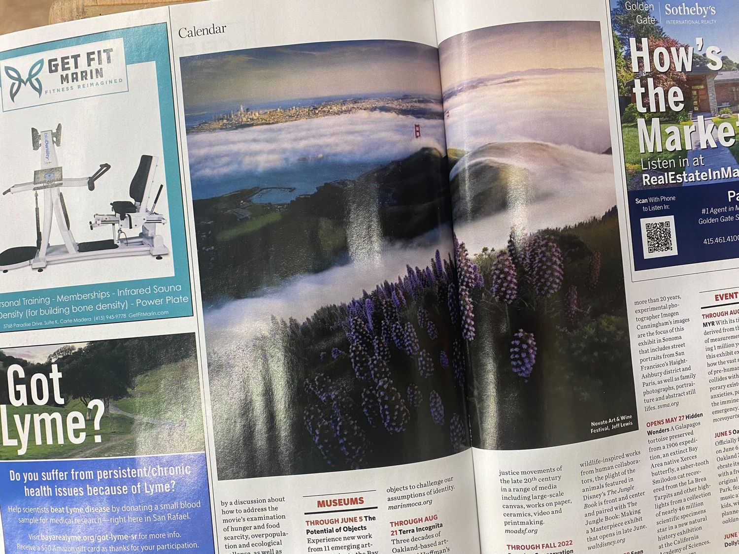 Magazine spread showing outdoor scenic pages with purple lupine flowers and a sunset or sunrise landscape view.