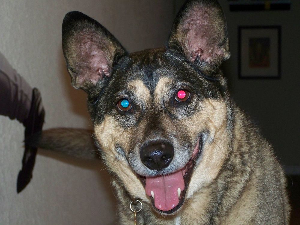 My happy boy, Slider